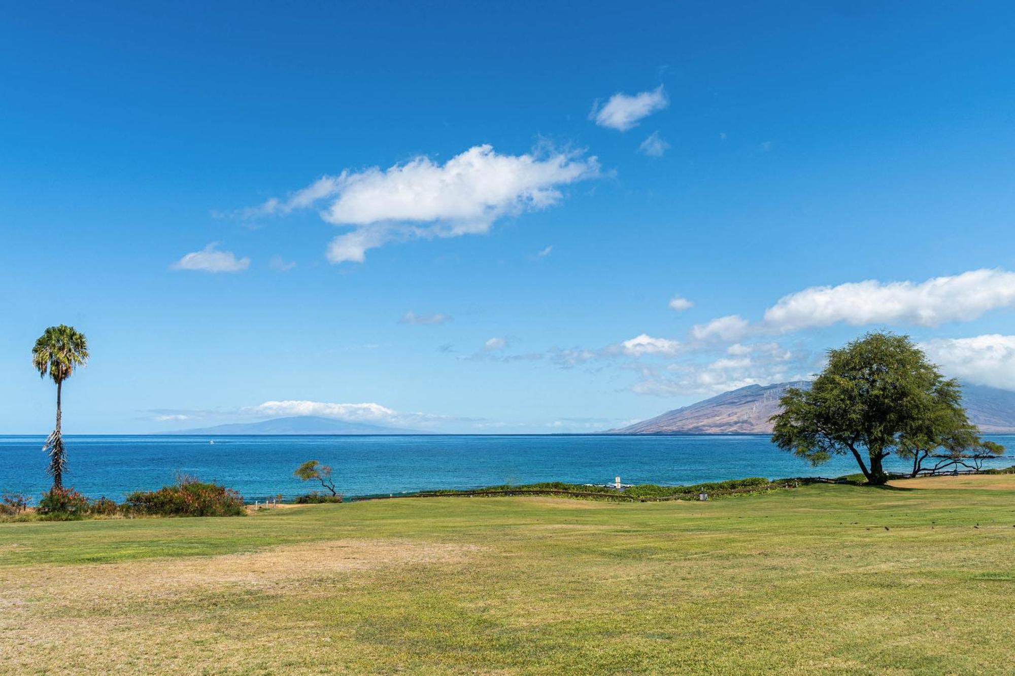 Maui Banyan Q-109 Διαμέρισμα Wailea  Εξωτερικό φωτογραφία